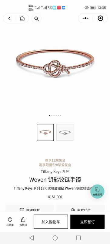 Tiffany bracelet 05lyx102